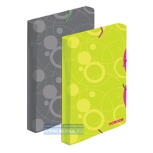 Zboží na objednávku - Krabice s gumou DUO COLORI šedá/zelená
