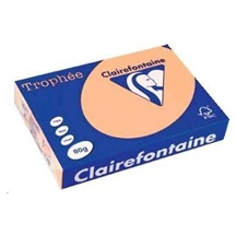 Papír Clairefontaine A3/120g/250 1309 lososová