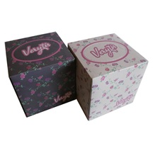 Kapesníky papírové kosmetické /60ks VERYTIS 3-vrstvé  v krabičce KOSTKA